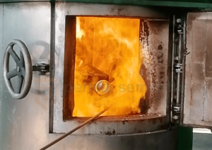 82_20240623_150125_0007